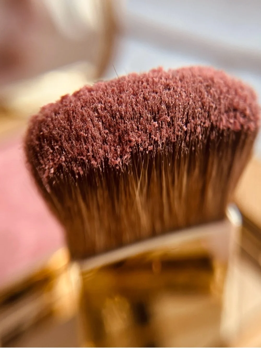 Dolce & Gabbana Blush of Roses Cheek Powder – 500 Apricot